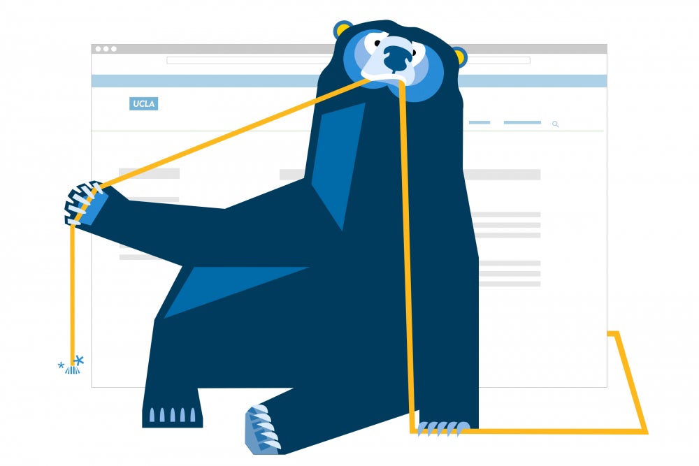 bear with 404 message